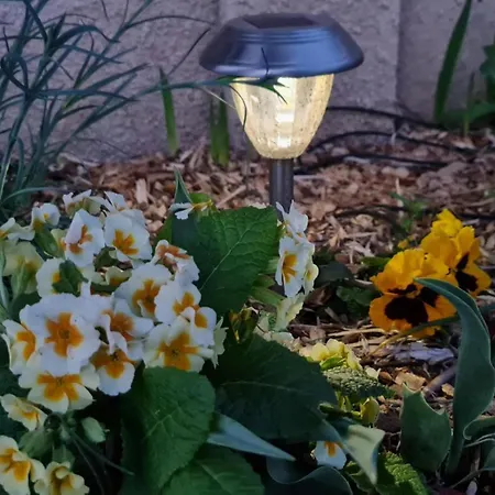 Du Soleil Levant Lacropte