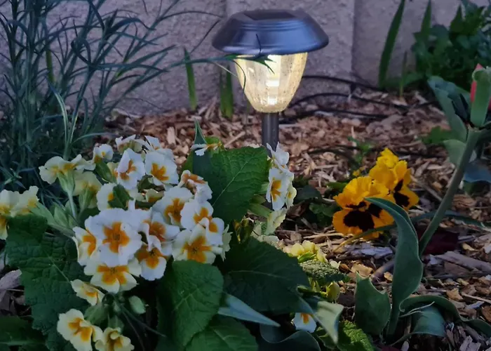 Du Soleil Levant Дом отдыха